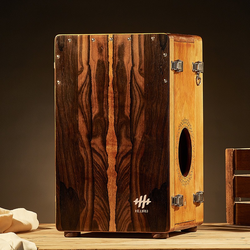 Diy Electronics Projects For Adults - Scatola di legno Tamburo Professionale per