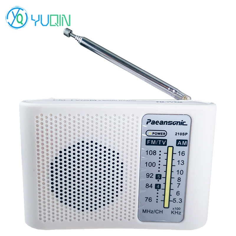 Kit Radio AM/FM 210SP Fai-da-T - Diy Electronics Projects For Adults recensione e prezzo